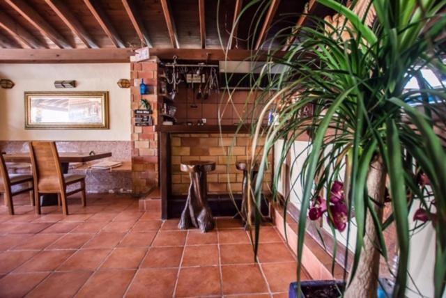 El Cortijo Escana Es Cana Esterno foto